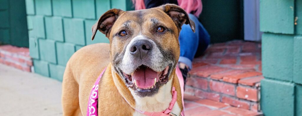 HeroCard_MollyAndMadisonRohde