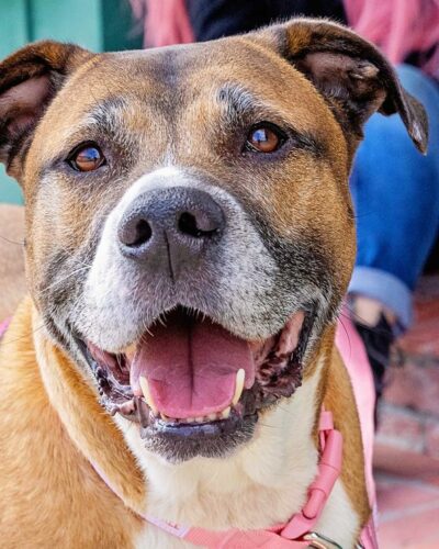 HeroCard_MollyAndMadisonRohde HeroCard_MollyAndMadisonRohde