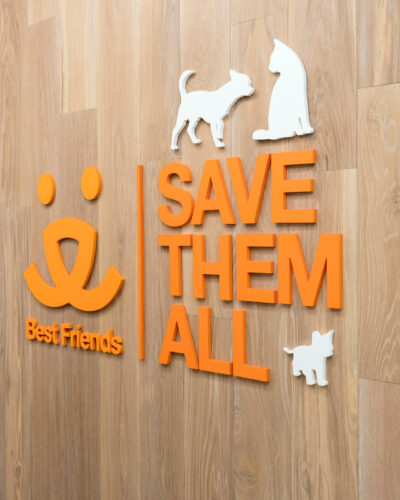 RA-DA-Architects-Best-Friends-Pet-Adoption-18 RA-DA-Architects-Best-Friends-Pet-Adoption-18